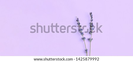 bouquet of violet lilac purple lavender flowers arranged on table background. Top view, flat lay mock up, copy space. Minimal background concept. Dry flower floral composition isolated. Spa skin care Royalty-Free Stock Photo #1425879992