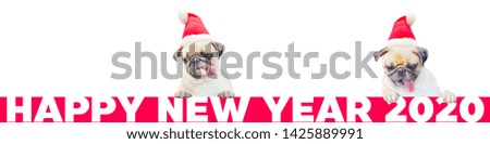 Two Cartoon Little Pug Dog in a red christmas hat with number 2020. Cute cartoon christmas animal dog. Christmas and New Year Banner. (Happy New Year 2020 Concept)