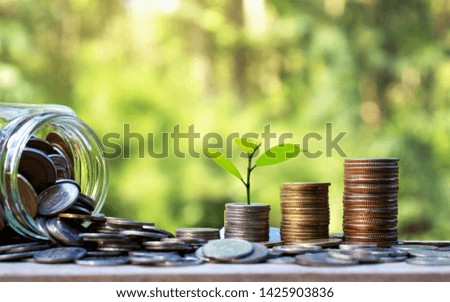 Planting trees on gold coins and natural green backgrounds. Money saving ideas.