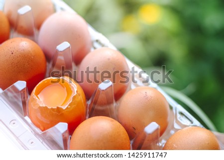 Eggs in package background. food texture.