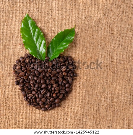 roasted coffee bean with leave on linin sack
