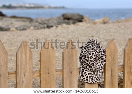 Cap on the beach. Cap on a wooden fence on the beach. Marine concept. Leopard print cap. Mediterranean sea, Turkey. Forgotten thing.   