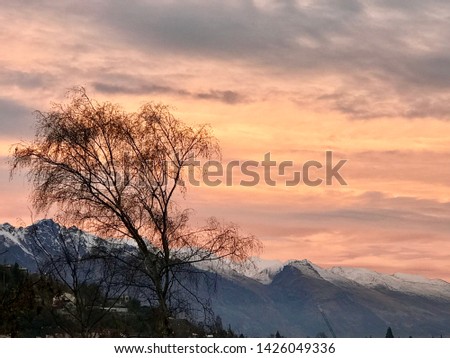 Spooky trees silhouettes at sunset with church background creepy enchanted forest fantasy night woods