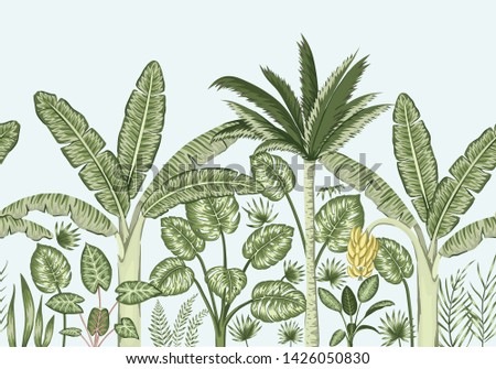 Vector seamless border background with tropical plants. Vintage horizontal seamless  backdrop. Exotic jungle wallpaper