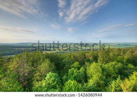 View from the roof of forest. Picture was taken from wooden observation tower in the middle of forest. 