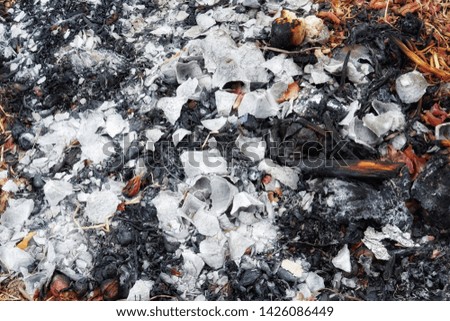 Natural wood charcoal and ash isolated on the ground. Non smoke and odorless charcoal.