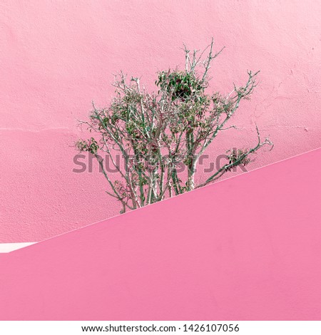 Plants on pink fashion concept. Minimal design