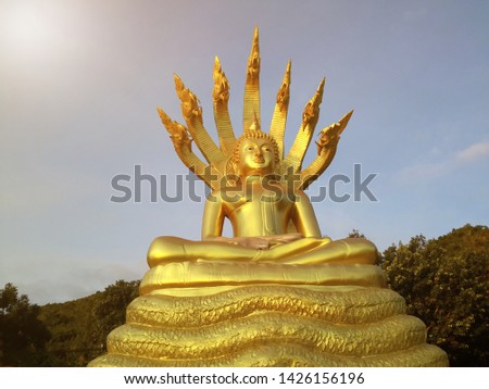 The golden Buddha statue is beautiful outdoors.