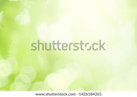 Green Background The appearance of soft leaves And with light shining through nature. for background presentation of work. Computer screen image