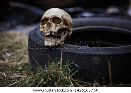 A human skull on a used car tire. Problems of ecology and environmental pollution. A copy of a human skull on a tire close-up for Halloween.