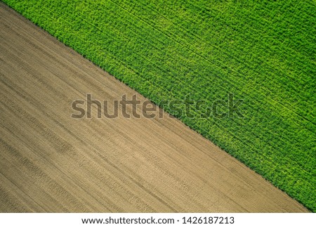 A beautiful aerial shot of a green agricultural field