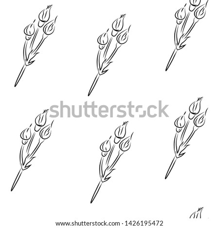 Vector pattern of rose buds on white background. Graphics, line, black outline.
