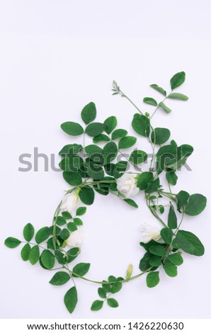 Beautiful butterfly pea flowers frame and green leaves on white background,top view
