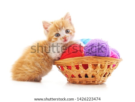 Kitten with balls of yarn in the basket on a white background.