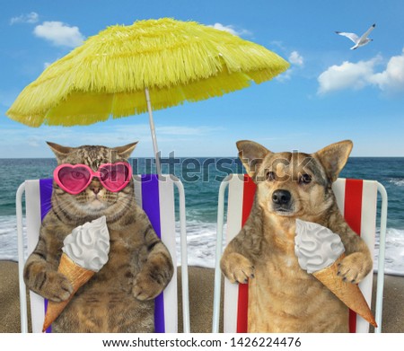 The dog and the cat in pink sunglasses are eating ice cream together under the yellow umbrella on a beach chairs on the sea shore.