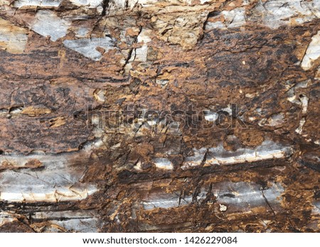 Brown tone stone surface for background
