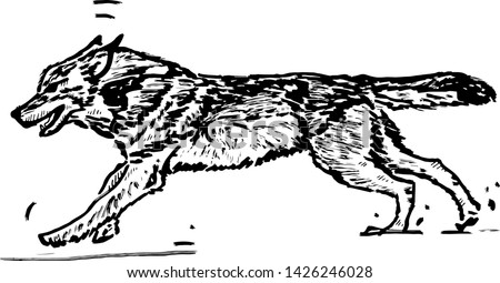 A running wolf. Hand drawn vector illustration. 