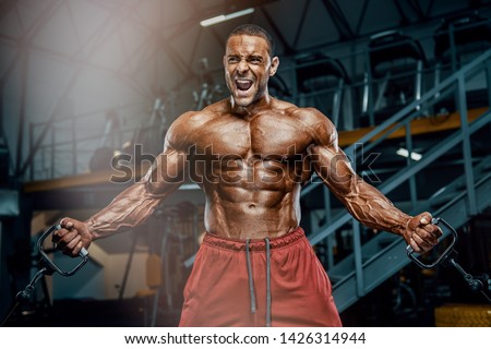 Hard Core Bodybuilding. Handsome Bodybuilder Workout at the Gym Royalty-Free Stock Photo #1426314944