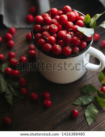 Still life photography in dark colors with bright red berries in a cup