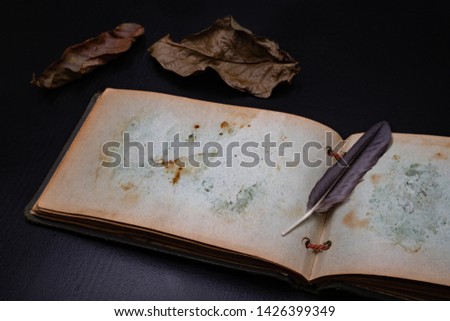 An old diary with stained pages and a small bird's feather. Notebook on a dark table. Black background.