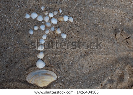 The figure of a palm tree laid out on the sand from the shells. Background. There is free space, space for text.