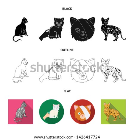 Vector design of pet and sphynx symbol. Set of pet and fun vector icon for stock.