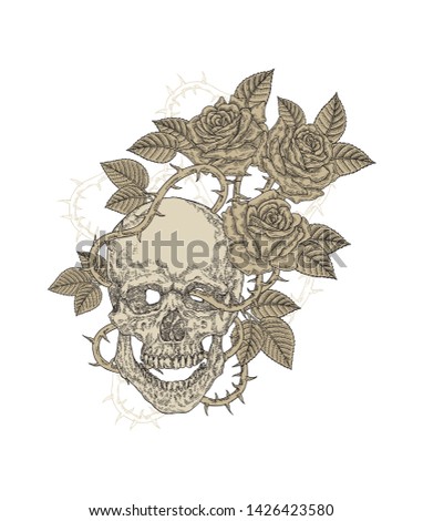 Human skull with rose flowers. T-shirt graphic design. Vector illustration vintage.