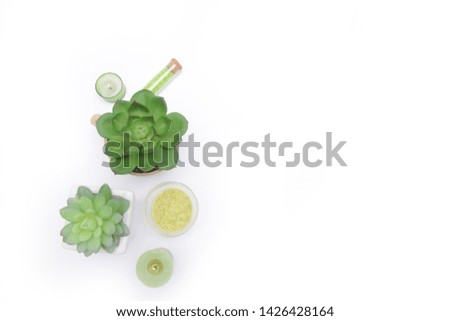 spa theme object on white background. banner. lots of copy space


