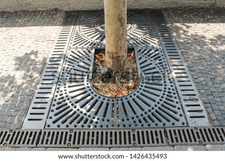 Tree foundation and metal water drain inside pavement - detail photo.