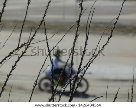 Moto and his driver in a motocross competition seen in blur through some branches of the environment