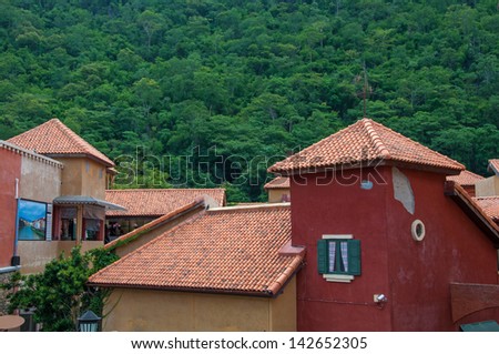 typical vintage house with tile roof