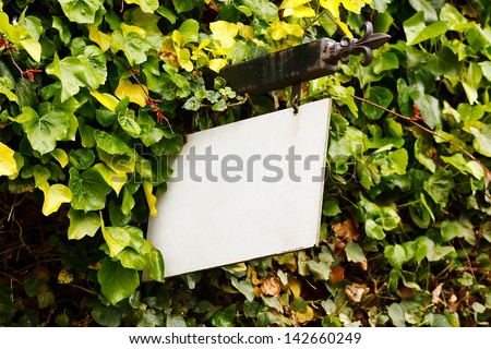 Traditional wrought Iron blank sign surrounded by an ivy creeper suitable for cusomising to any rural tourism industry