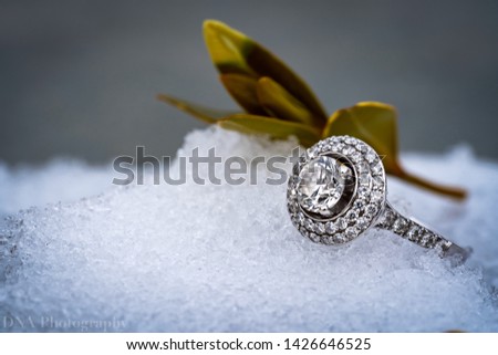 A winter wonderland diamond on a bed of ice.  