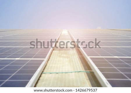 Solar cell in solar farm with green tree and sun lighting reflect, Alternative energy and sustainable energy, photovoltaic, Pure energy Concept. 
