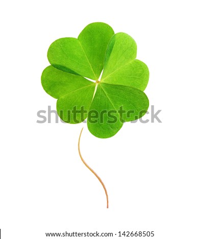 Green clover leaf isolated on white background. Royalty-Free Stock Photo #142668505