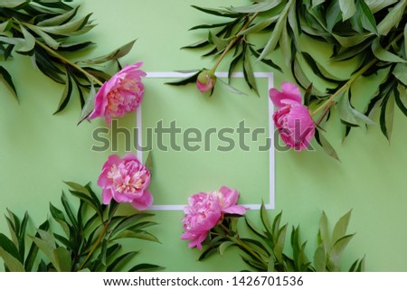 Square frame with pink peonies on green background. Floral wallpaper