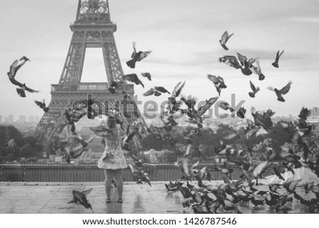 selective focus on pigeons. tourist taking picture on Eiffel tower in Paris with pigeons flying around, France