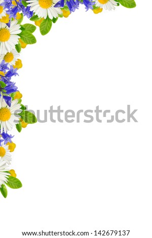 Corner with wild flowers on the white background Royalty-Free Stock Photo #142679137