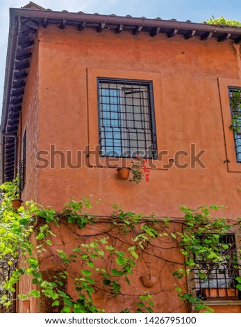 Rome Italy, vintage house facade with potted flowers decorated window and vibrant ocher wall, Trastevere picturesque neighborhood