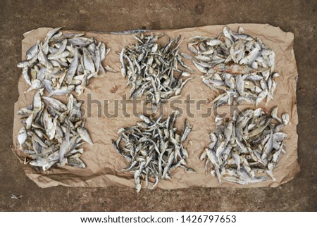 world food production, Fish Market, Sri Lanka
