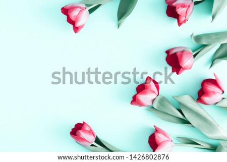 Flowers composition romantic. Frame made of red tulips flowers on pale pastel mint background. Valentine's Day, Easter, Birthday, Happy Women's Day. Flat lay, top view, copy space