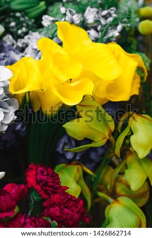 Colorful flowers for bouquete and color background