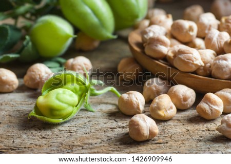 Uncooked dried chickpeas in wooden spoon with raw green chickpea pod plant on wooden table. Heap of legume chickpea background Royalty-Free Stock Photo #1426909946