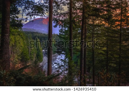 Snoqualmie River View Through the Forest, Washington State
