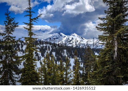 Mt. Rainier Winter Mountain View, Mt. Rainier National Park Washington