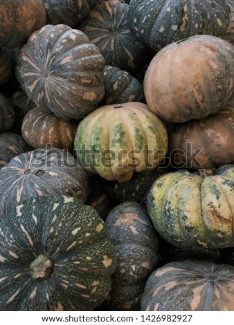 Pumpkins on display at a supermarket. Shot with a smartphone