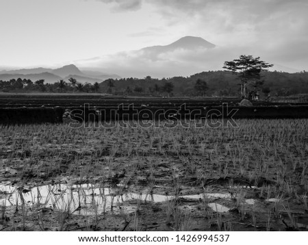 small water pond at farmland with slamet mountain view