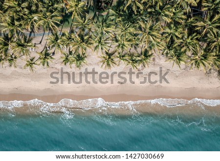 Palm cove aerial shot, palm trees white sand and turquoise sea. Near the great barrier reef Cairns.