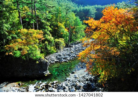 Autumn season forest colors and streams rocky landscape