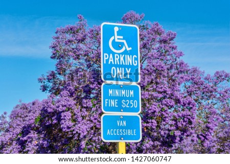 ADA handicapped sign: parking only (with handicapped wheelchair symbol) marks accessible parking space. Minimum fine warning sign. Blooming jacaranda tree in background on outdoor  parking lot.